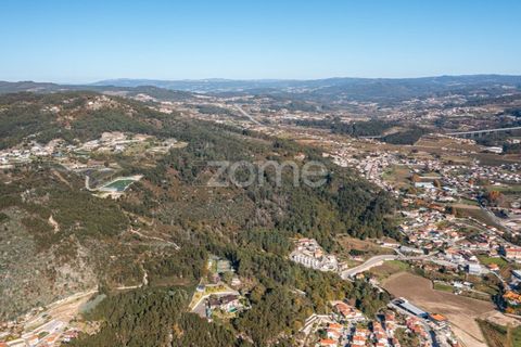 Farm i Braga, Braga, Braga - € 1.150.000 | Ref: ZMPT578832 - foto 14