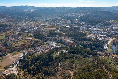 Farm i Braga, Braga, Braga - € 1.150.000 | Ref: ZMPT578832 - foto 17