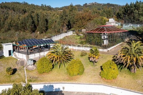 Farm i Braga, Braga, Braga - € 1.150.000 | Ref: ZMPT578832 - foto 6