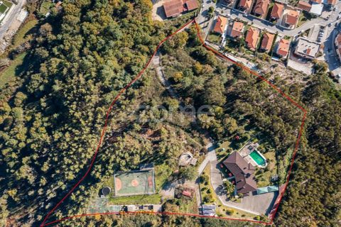 Farm i Braga, Braga, Braga - € 1.150.000 | Ref: ZMPT578832 - foto 9