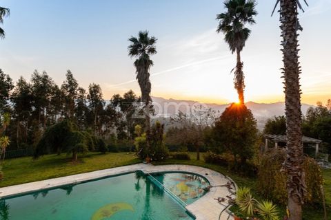 Farm i Braga, Braga, Braga - € 1.150.000 | Ref: ZMPT578832 - foto 22