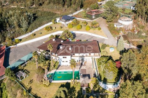 Farm i Braga, Braga, Braga - € 1.150.000 | Ref: ZMPT578832 - foto 3