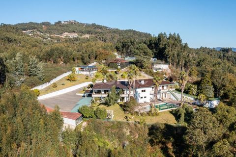 Farm i Braga, Braga, Braga - € 1.150.000 | Ref: ZMPT578832 - foto 5