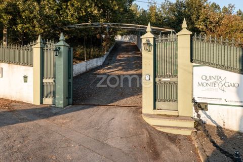 Farm i Braga, Braga, Braga - € 1.150.000 | Ref: ZMPT578832 - foto 2