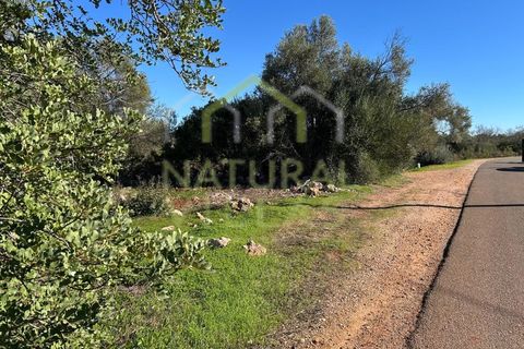 Helårsgrund i Alte, Faro, Alte - € 77.000 | Ref: TER_2941_VEND - foto 3
