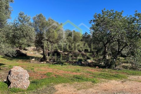 Helårsgrund i Alte, Faro, Alte - € 77.000 | Ref: TER_2941_VEND - foto 5
