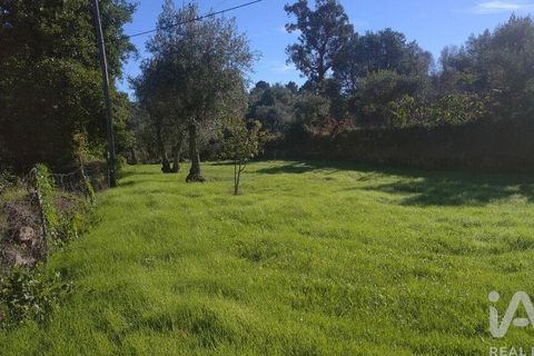 Byhus i Gouveia, Guarda, Gouveia - € 46.000 | Ref: 82976 - foto 14