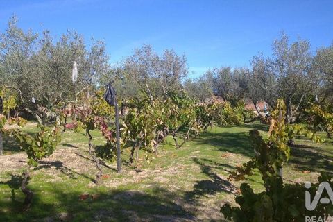 Byhus i Gouveia, Guarda, Gouveia - € 46.000 | Ref: 82976 - foto 23