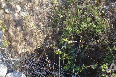 Byhus i Gouveia, Guarda, Gouveia - € 46.000 | Ref: 82976 - foto 24