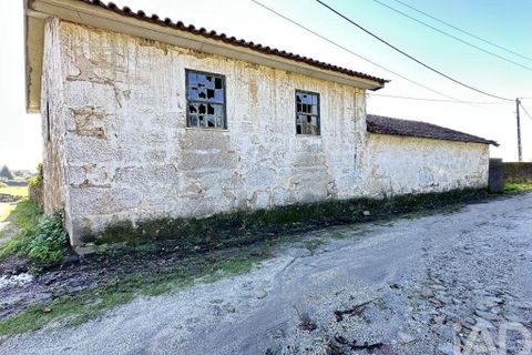 Farm i Barcelos, Braga, Barcelos - € 360.000 | Ref: 758045 - foto 2