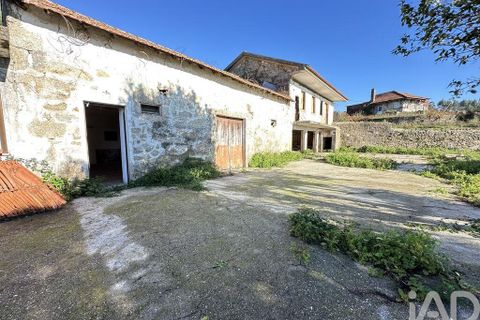 Farm i Barcelos, Braga, Barcelos - € 360.000 | Ref: 758045 - foto 3