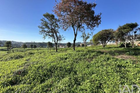 Farm i Barcelos, Braga, Barcelos - € 360.000 | Ref: 758045 - foto 4