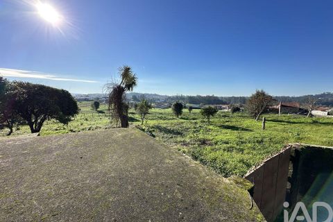 Farm i Barcelos, Braga, Barcelos - € 360.000 | Ref: 758045 - foto 5