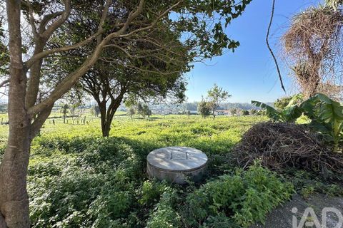 Farm i Barcelos, Braga, Barcelos - € 360.000 | Ref: 758045 - foto 7