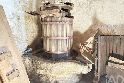 Farm i Barcelos, Braga, Barcelos - € 360.000 | Ref: 758045 - foto 10