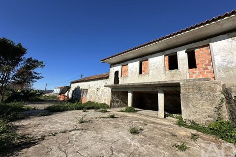 Farm i Barcelos, Braga, Barcelos - € 360.000 | Ref: 758045 - foto 18