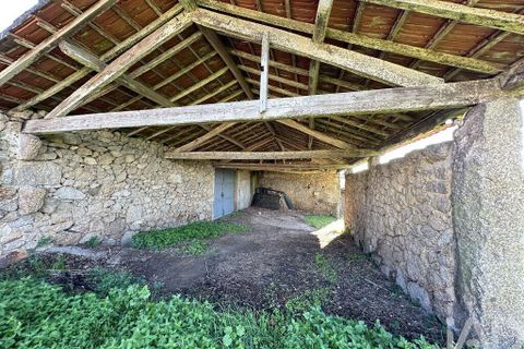 Farm i Barcelos, Braga, Barcelos - € 360.000 | Ref: 758045 - foto 24