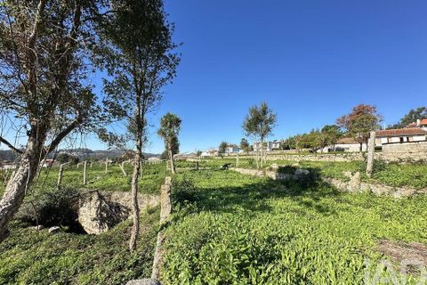 Farm i Barcelos, Braga, Barcelos - € 360.000 | Ref: 758045 - foto 28