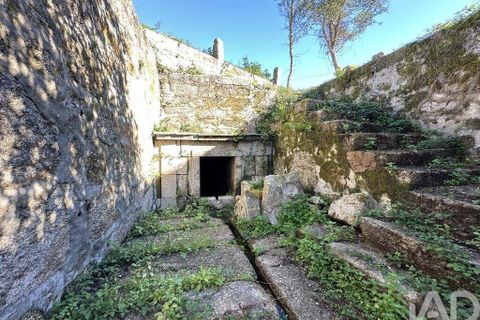 Farm i Barcelos, Braga, Barcelos - € 360.000 | Ref: 758045 - foto 29