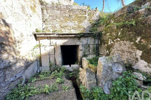 Farm i Barcelos, Braga, Barcelos - € 360.000 | Ref: 758045 - foto 30