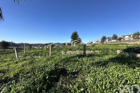Farm i Barcelos, Braga, Barcelos - € 360.000 | Ref: 758045 - foto 31