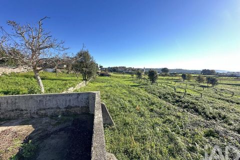Farm i Barcelos, Braga, Barcelos - € 360.000 | Ref: 758045 - foto 32
