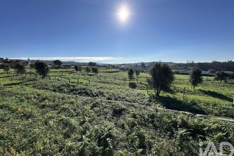 Farm i Barcelos, Braga, Barcelos - € 360.000 | Ref: 758045 - foto 33
