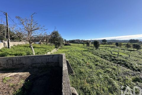 Farm i Barcelos, Braga, Barcelos - € 360.000 | Ref: 758045 - foto 35