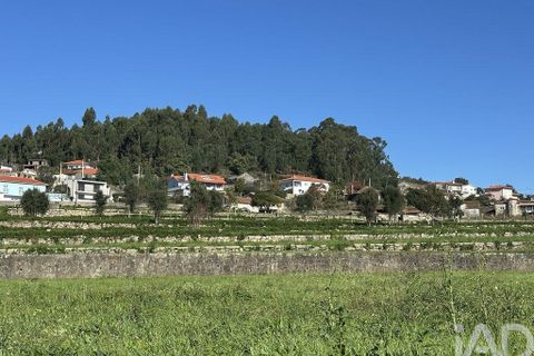 Farm i Barcelos, Braga, Barcelos - € 360.000 | Ref: 758045 - foto 36