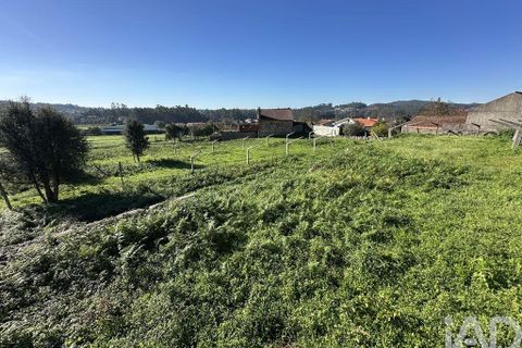 Farm i Barcelos, Braga, Barcelos - € 360.000 | Ref: 758045 - foto 38