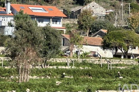 Farm i Barcelos, Braga, Barcelos - € 360.000 | Ref: 758045 - foto 39