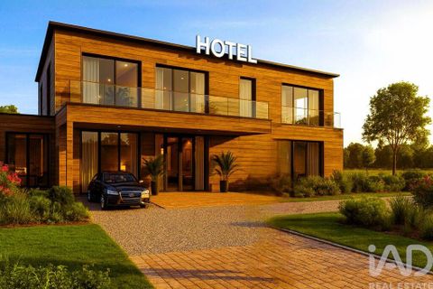 Terra a Alcobaca, Leiria, Alcobaca - € 1.390.000 | Ref: 765752 - foto 3