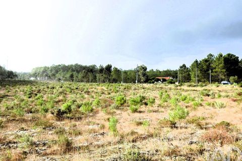 Terra a Alcobaca, Leiria, Alcobaca - € 1.390.000 | Ref: 765752 - foto 4