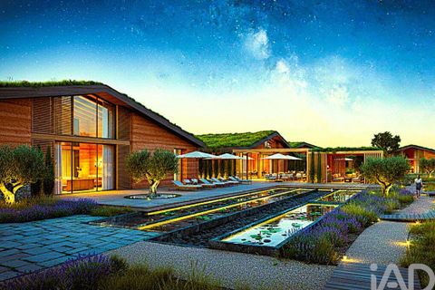 Terra a Alcobaca, Leiria, Alcobaca - € 1.390.000 | Ref: 765752 - foto 18