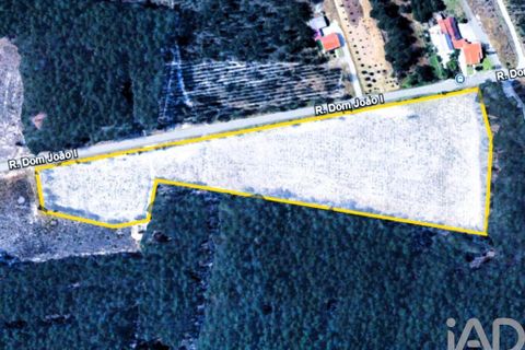 Terra a Alcobaca, Leiria, Alcobaca - € 1.390.000 | Ref: 765752 - foto 21