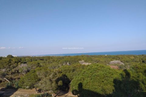 Lejlighed i Guardamar Del Segura, Alicante - foto 4
