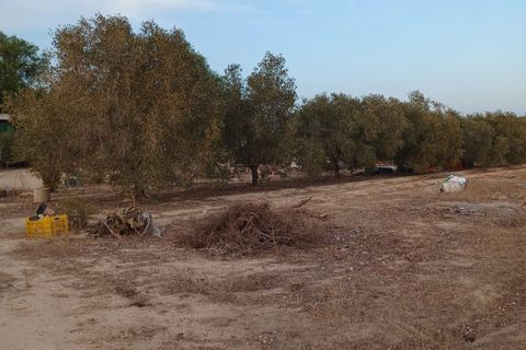 Landejendom i Elche, Alicante, Elche - € 175.000 | Ref: RUS0002 - foto 1
