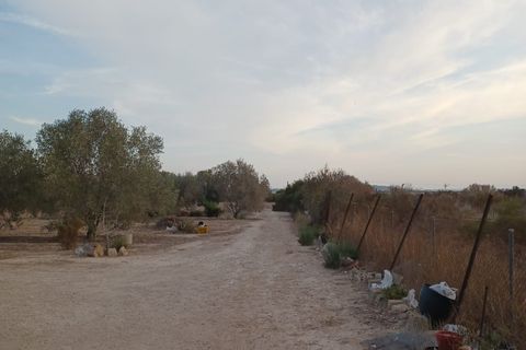 Landejendom i Elche, Alicante, Elche - € 175.000 | Ref: RUS0002 - foto 6
