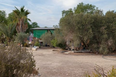 Landejendom i Elche, Alicante, Elche - € 175.000 | Ref: RUS0002 - foto 7
