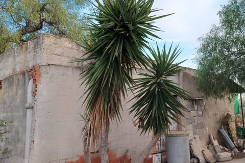 Landejendom i Elche, Alicante, Elche - € 175.000 | Ref: RUS0002 - foto 9