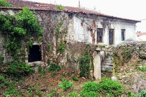 Byhus i Mealhada, Aveiro, Mealhada - € 45.000 | Ref: 745320 - foto 3