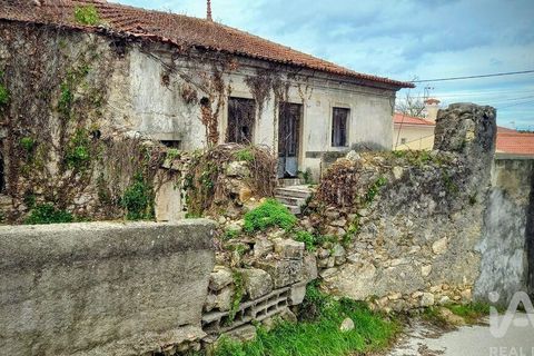 Byhus i Mealhada, Aveiro, Mealhada - € 45.000 | Ref: 745320 - foto 5