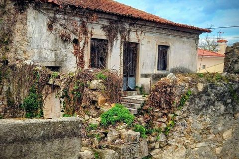Byhus i Mealhada, Aveiro, Mealhada - € 45.000 | Ref: 745320 - foto 6