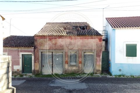 Landejendom i Olaia e Paco, Santarem, Olaia e Paco - € 115.000 | Ref: TAM_616 - foto 2