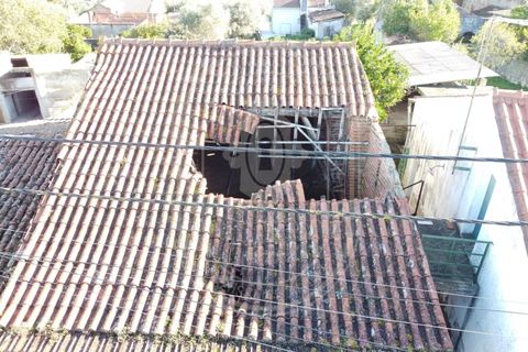 Landejendom i Olaia e Paco, Santarem, Olaia e Paco - € 115.000 | Ref: TAM_616 - foto 4