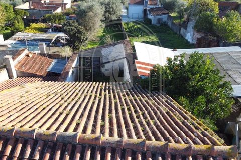 Landejendom i Olaia e Paco, Santarem, Olaia e Paco - € 115.000 | Ref: TAM_616 - foto 5