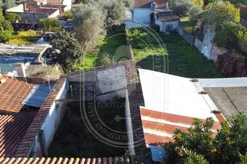 Landejendom i Olaia e Paco, Santarem, Olaia e Paco - € 115.000 | Ref: TAM_616 - foto 6