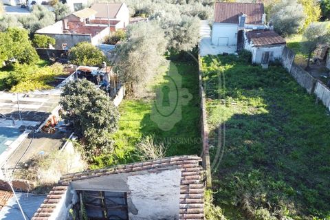 Landejendom i Olaia e Paco, Santarem, Olaia e Paco - € 115.000 | Ref: TAM_616 - foto 7