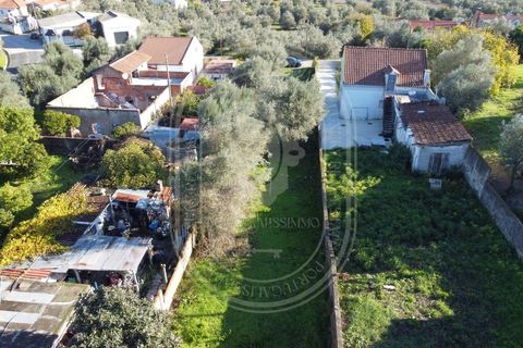 Landejendom i Olaia e Paco, Santarem, Olaia e Paco - € 115.000 | Ref: TAM_616 - foto 8