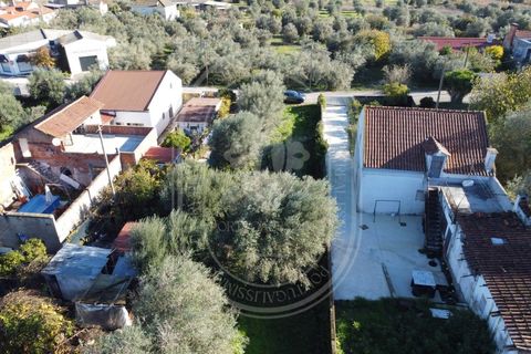 Landejendom i Olaia e Paco, Santarem, Olaia e Paco - € 115.000 | Ref: TAM_616 - foto 9